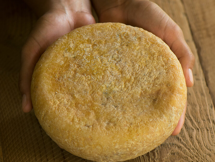 Safe Is Not Always Healthy: Modern Cheese vs. Traditional Fermentation