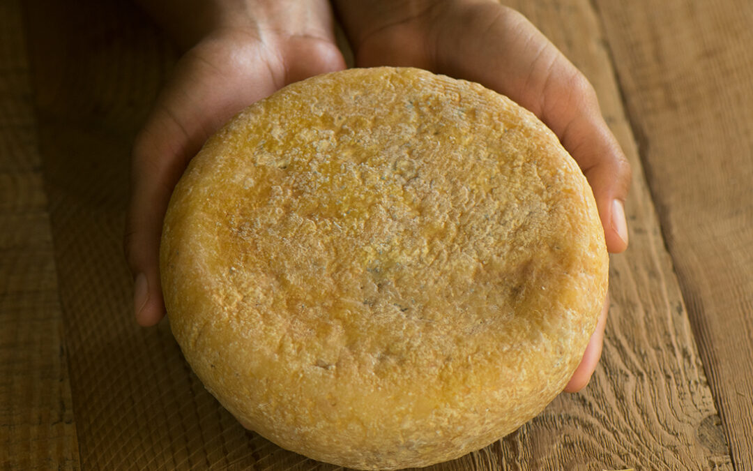 How to Tell If Cheese Is Bad (Or Just Aging Naturally)
