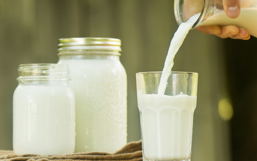 Milk Shelf Life in Canada: Artificial Powders vs. Real Dairy Products