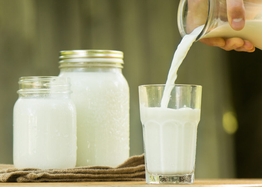 Milk Shelf Life in Canada: Artificial Powders vs. Real Dairy Products