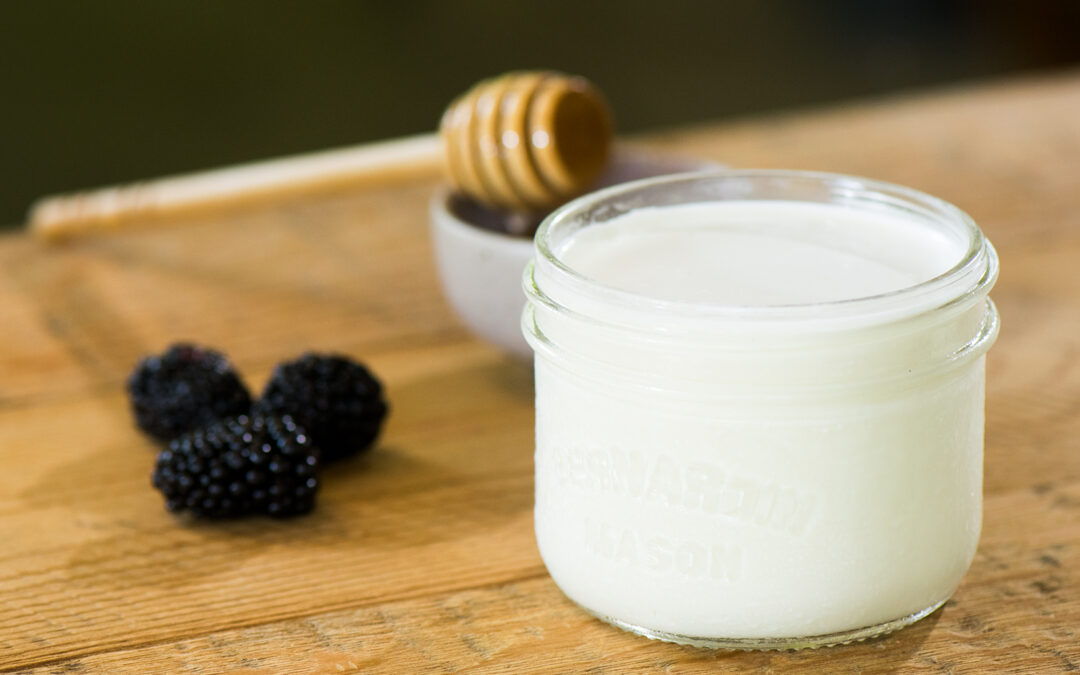 The Incredible Journey of Natural Yogurt