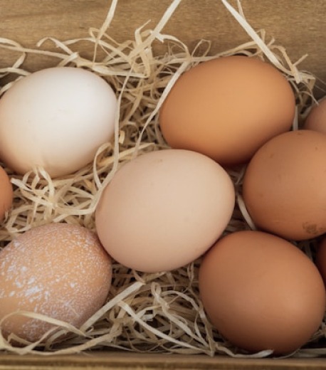 Eggs